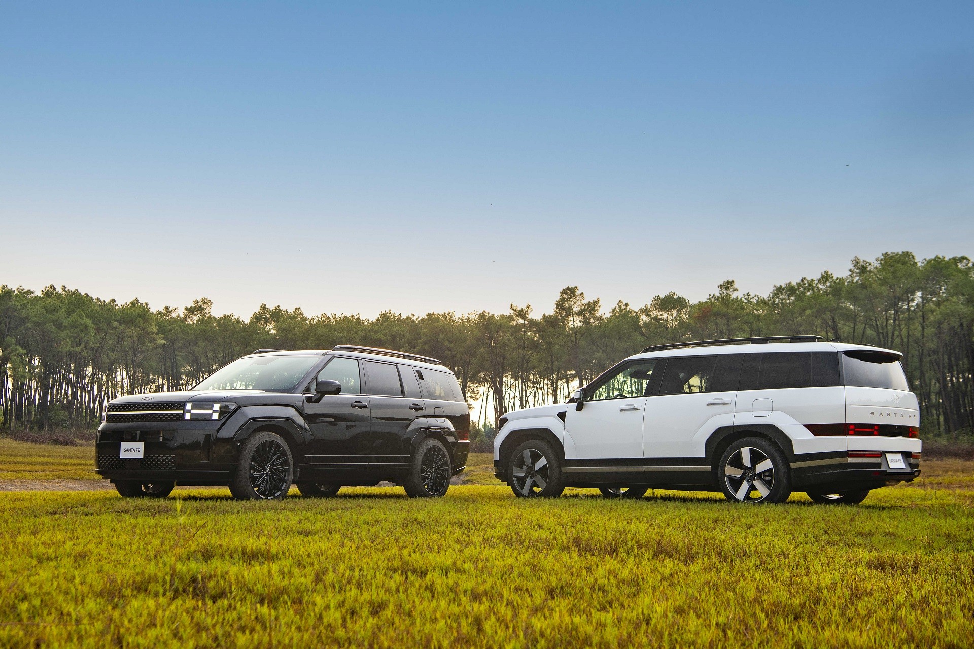 Tính giá lăn bánh Santa Fe tại Đồng Nai 2026